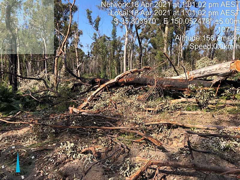 post fire logging continues in 2021
